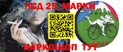 амф Донецк